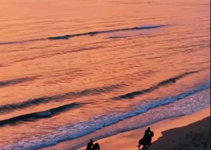 公寓 Deluxe Shëngjin